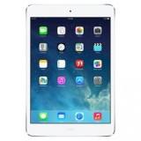 iPad Mini Replacement Parts