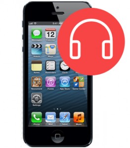 (Sprint/Verizon)Headphone Jack Replacement  (Sprint/Verizon)Headphone Jack Replacement